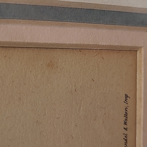 J. Gould and HC Richter Comete Phaon Hummingbirds Lithograph - Picture 16 of 17